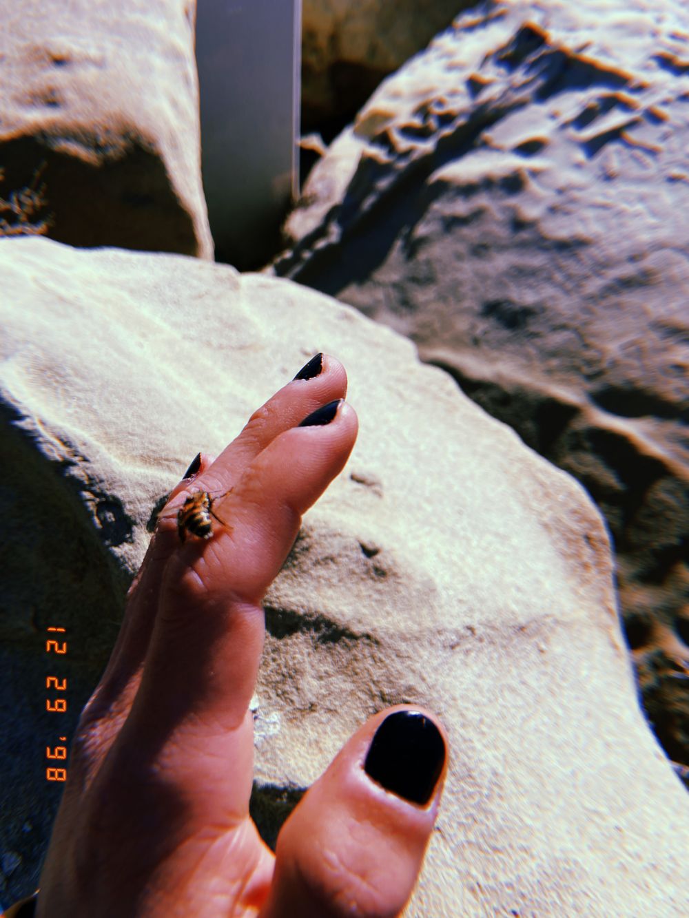 elmphuckr OnlyFans profile picture