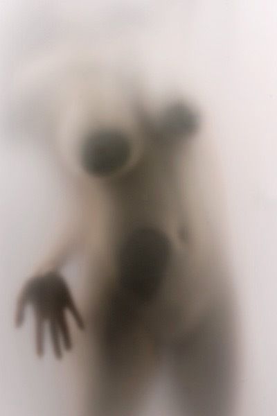 shygirlxxx OnlyFans profile picture