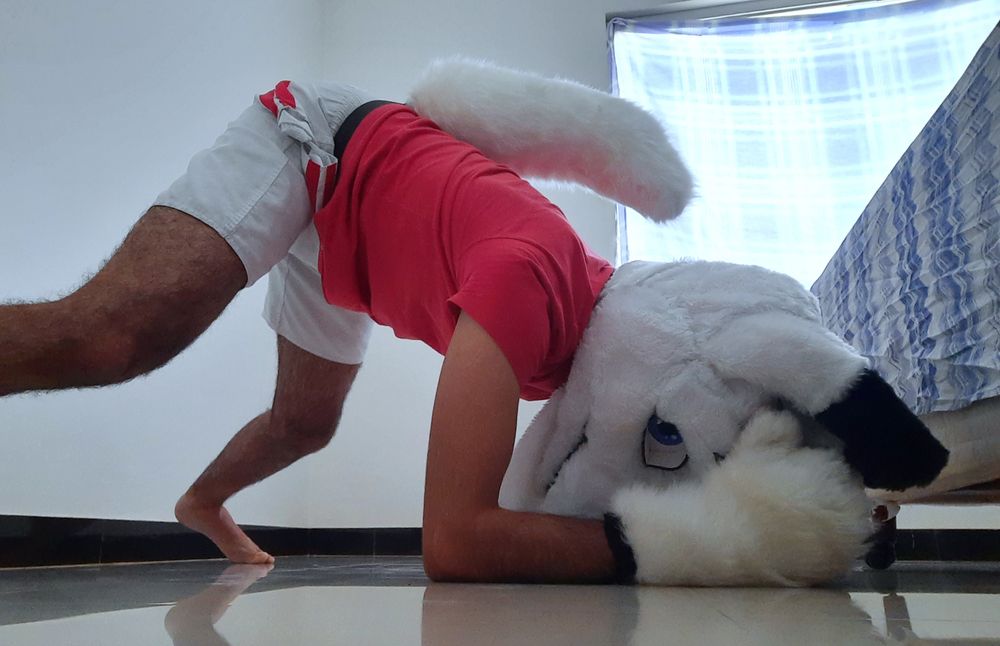 dobymurwolf OnlyFans profile picture