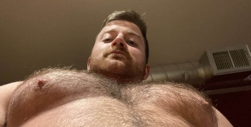 furryholtie OnlyFans profile picture