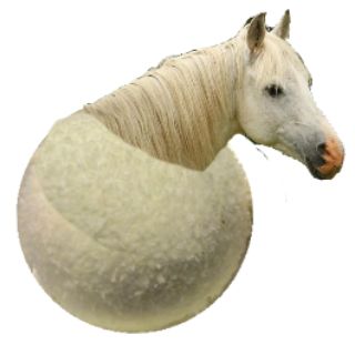 snowball_stallion OnlyFans picture