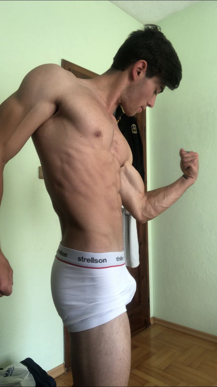shreddedstilqn OnlyFans profile picture