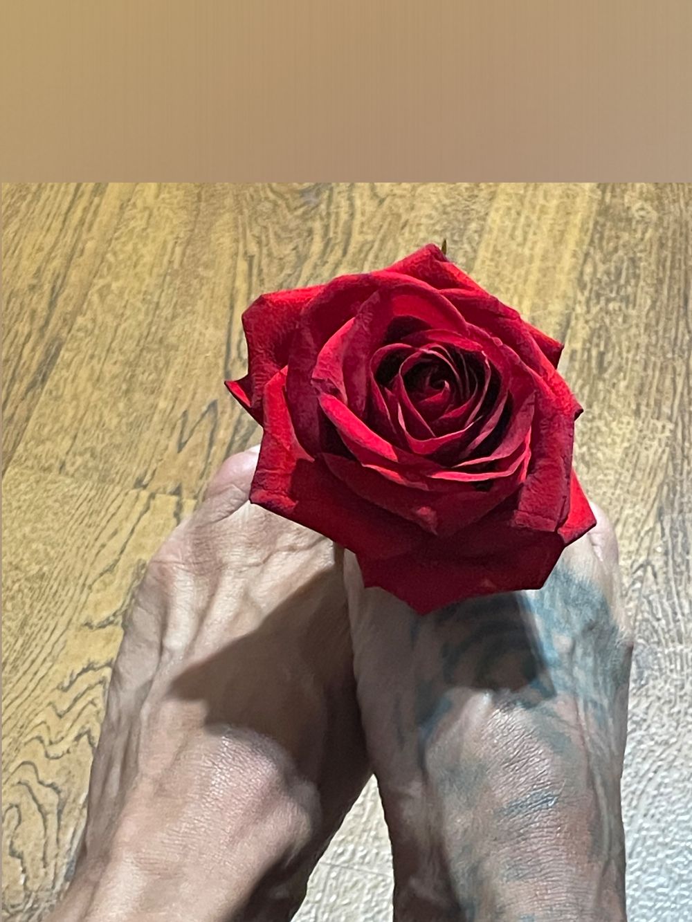 thelittlemogwai OnlyFans profile picture