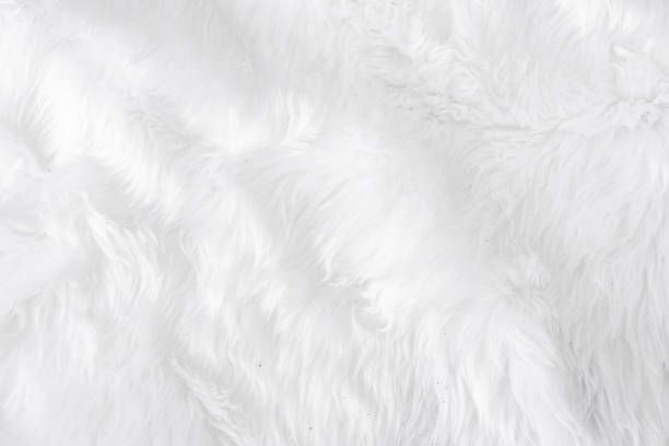 snowangeltoes OnlyFans profile picture
