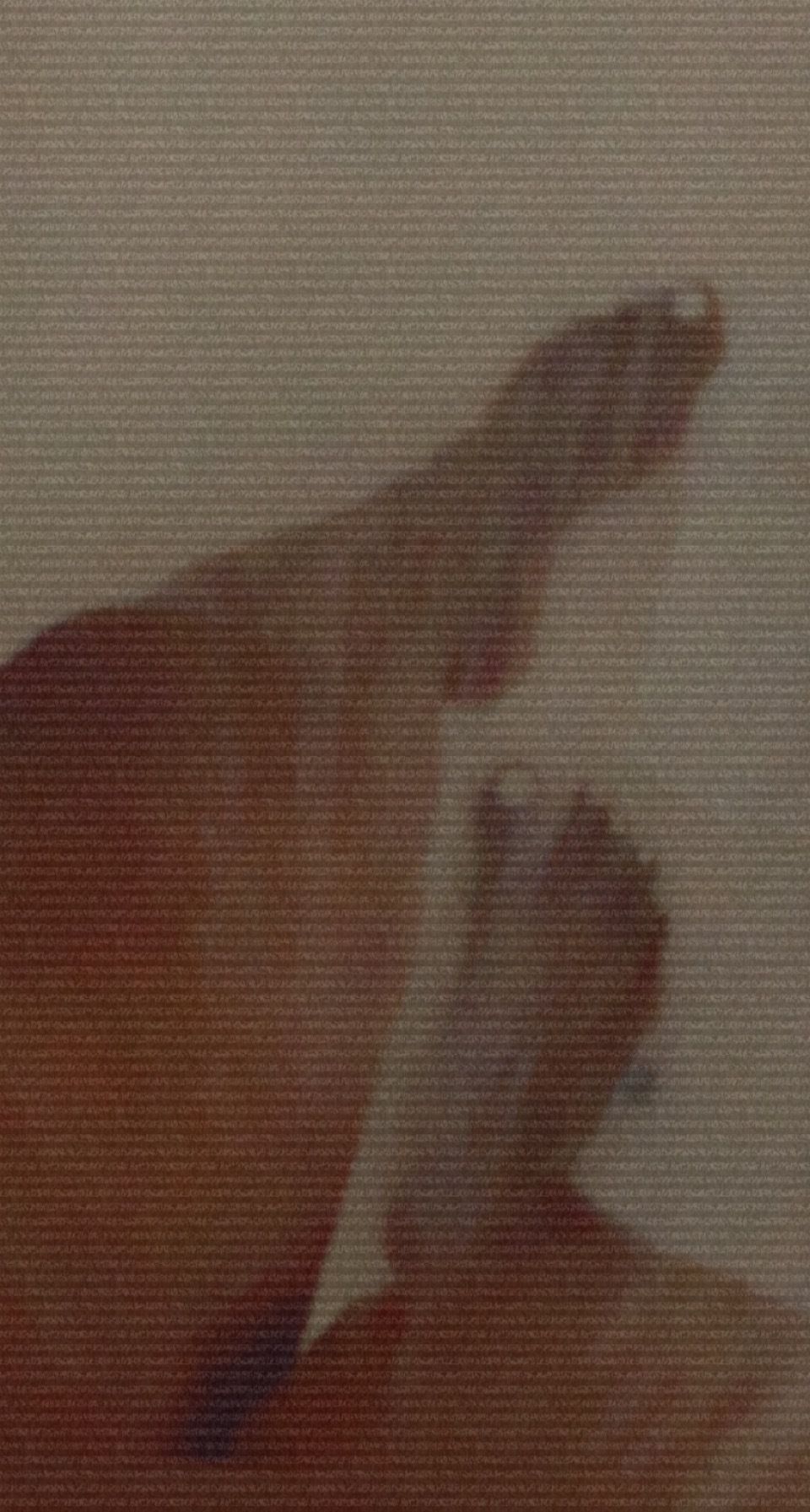 nickynicolelove OnlyFans profile picture