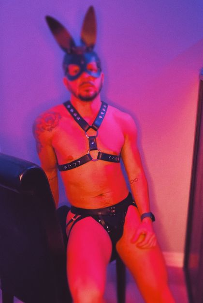 badbunyxxx OnlyFans picture