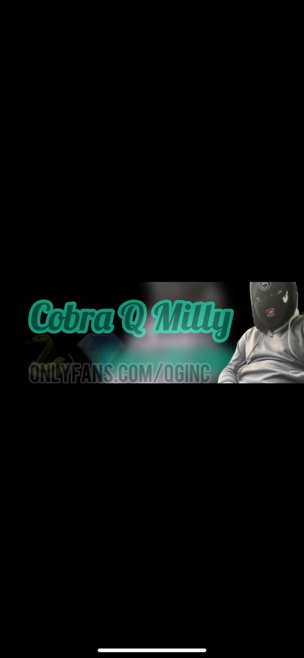 qginc OnlyFans profile picture
