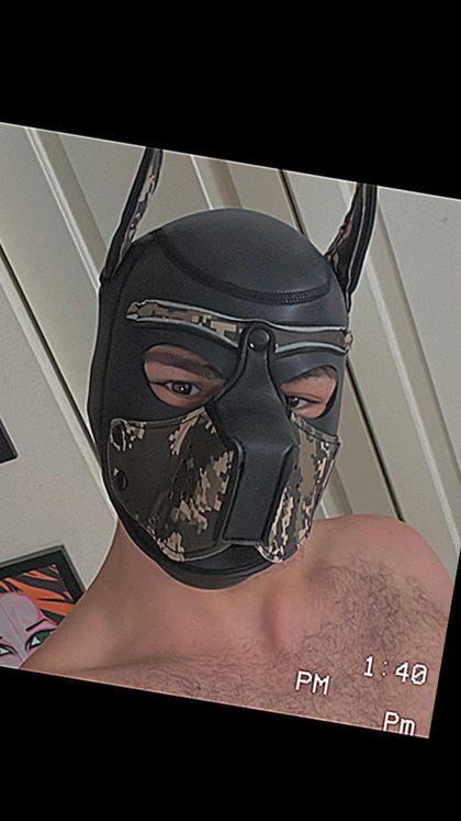 untitledpup OnlyFans picture