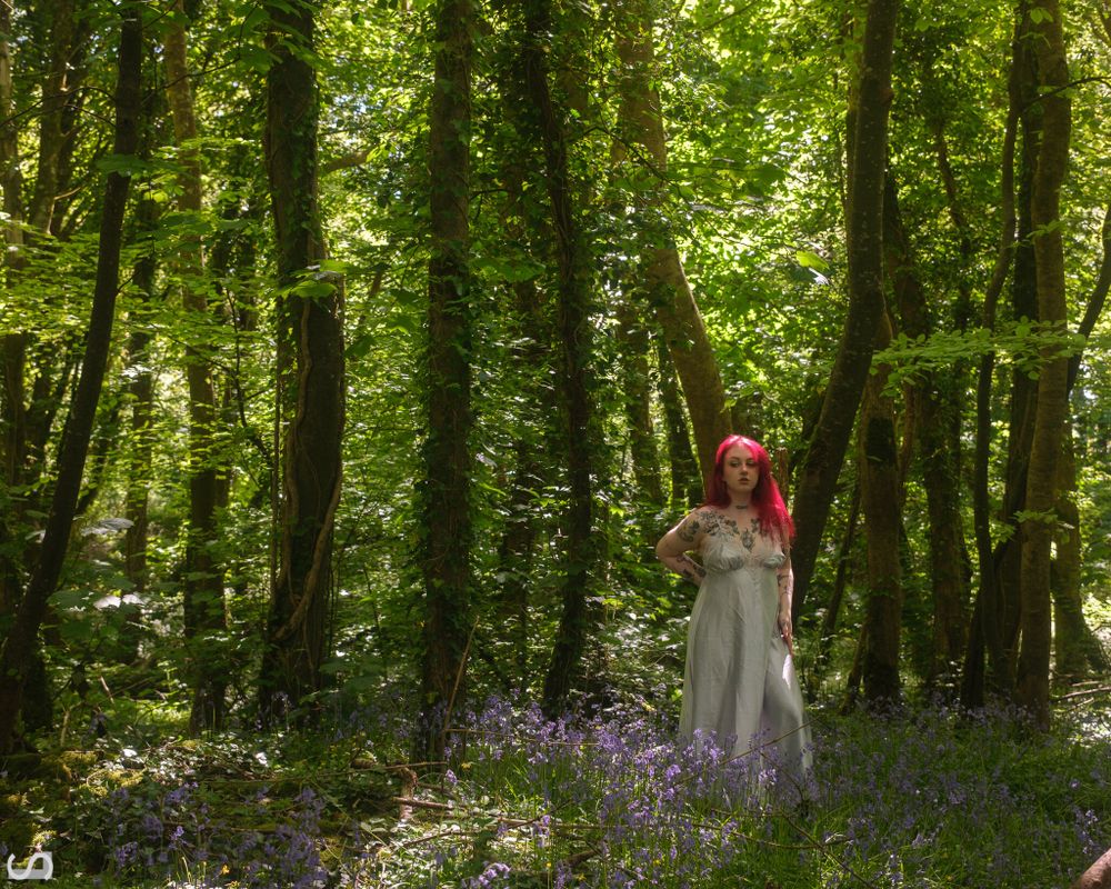 porcelainerose OnlyFans profile picture
