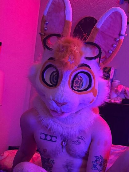 breedingbunnyy OnlyFans picture