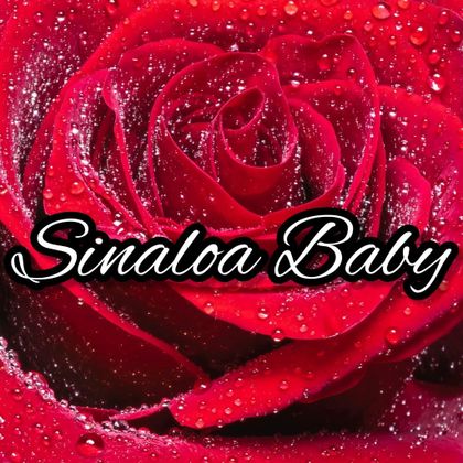 sinaloaa_babyyy OnlyFans picture