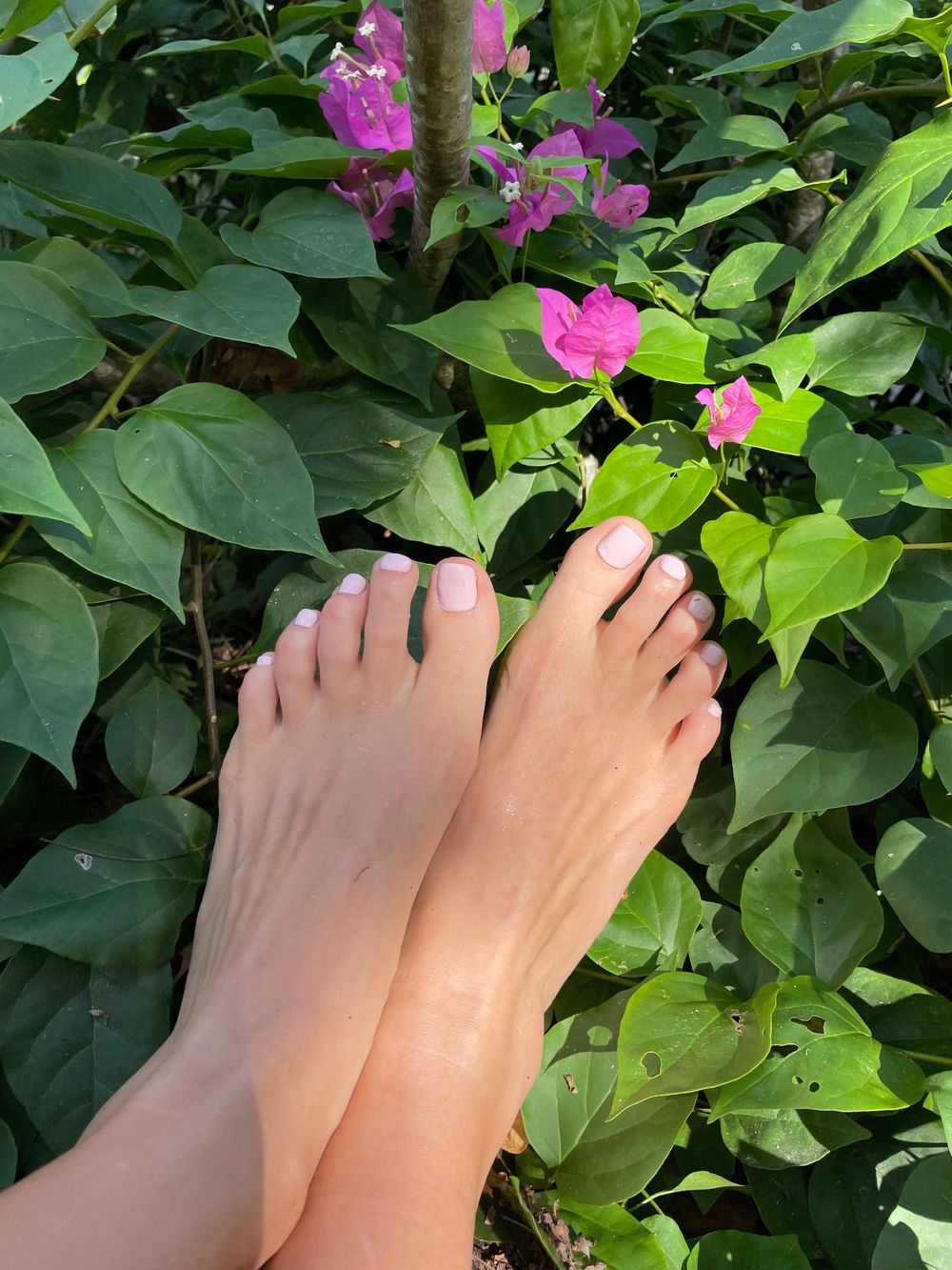 feetpicturesinparadise OnlyFans profile picture