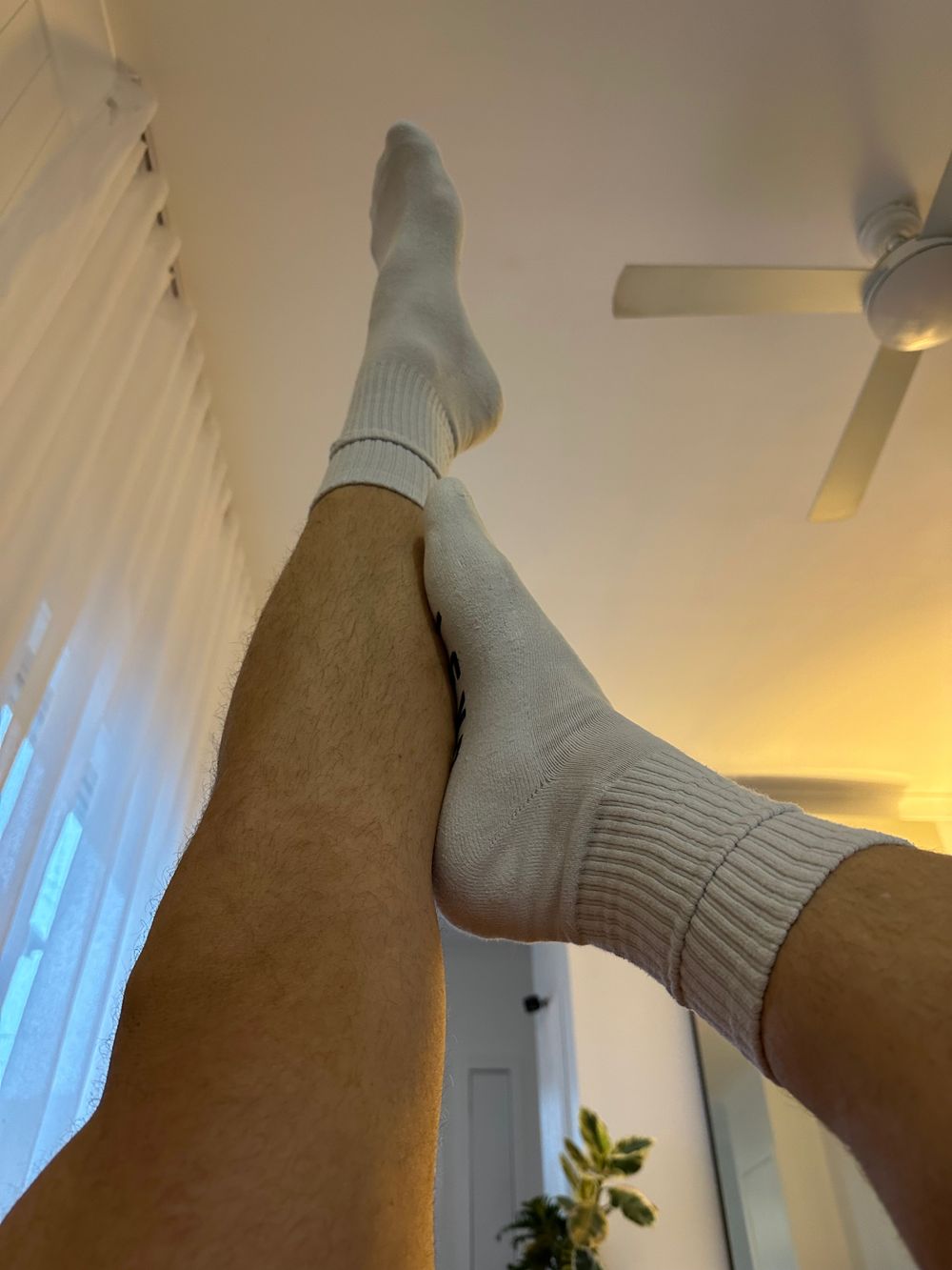 freddies_feet OnlyFans profile picture