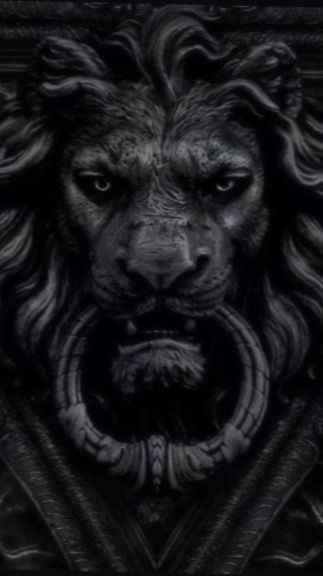 lionel77 OnlyFans profile picture