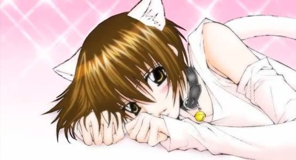 highapmfemboy OnlyFans profile picture