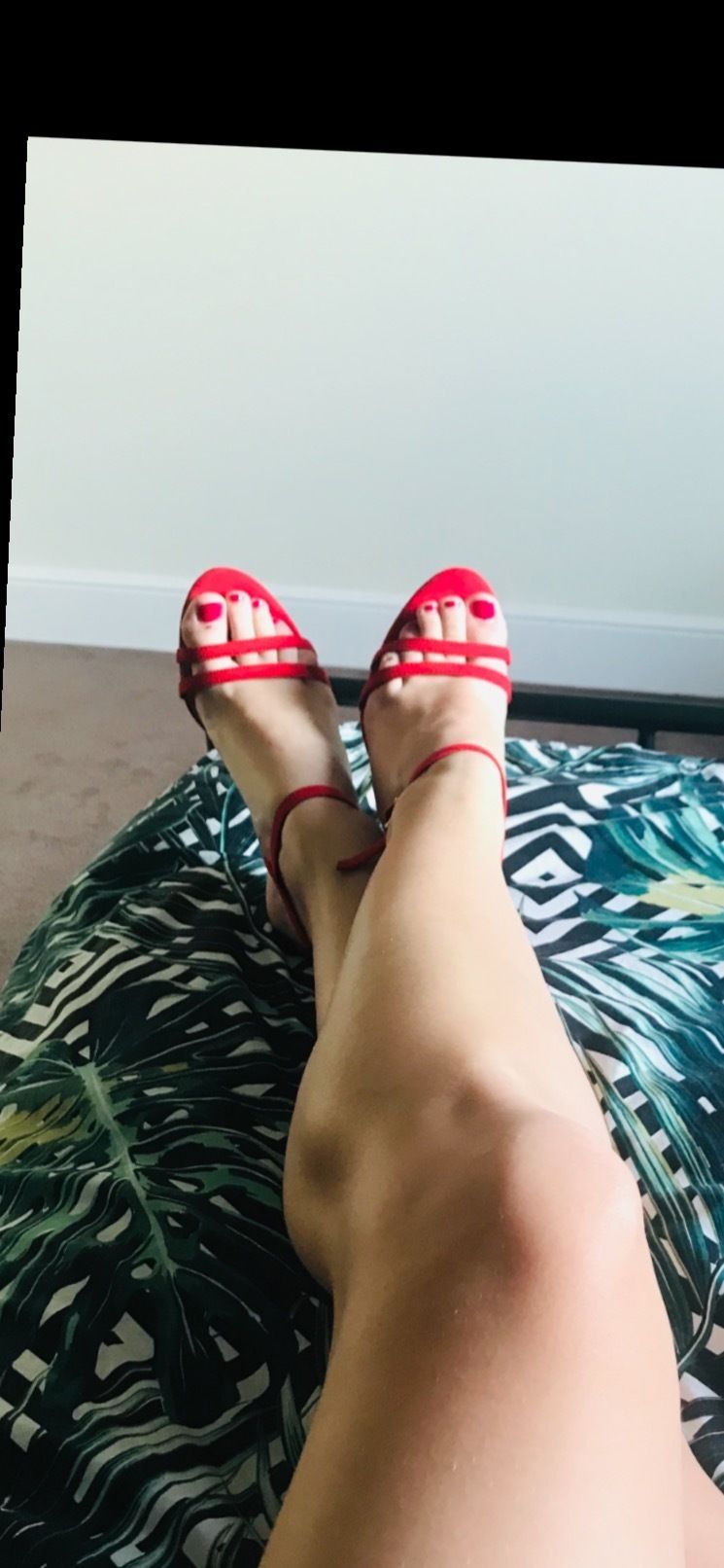 u241864330 OnlyFans profile picture