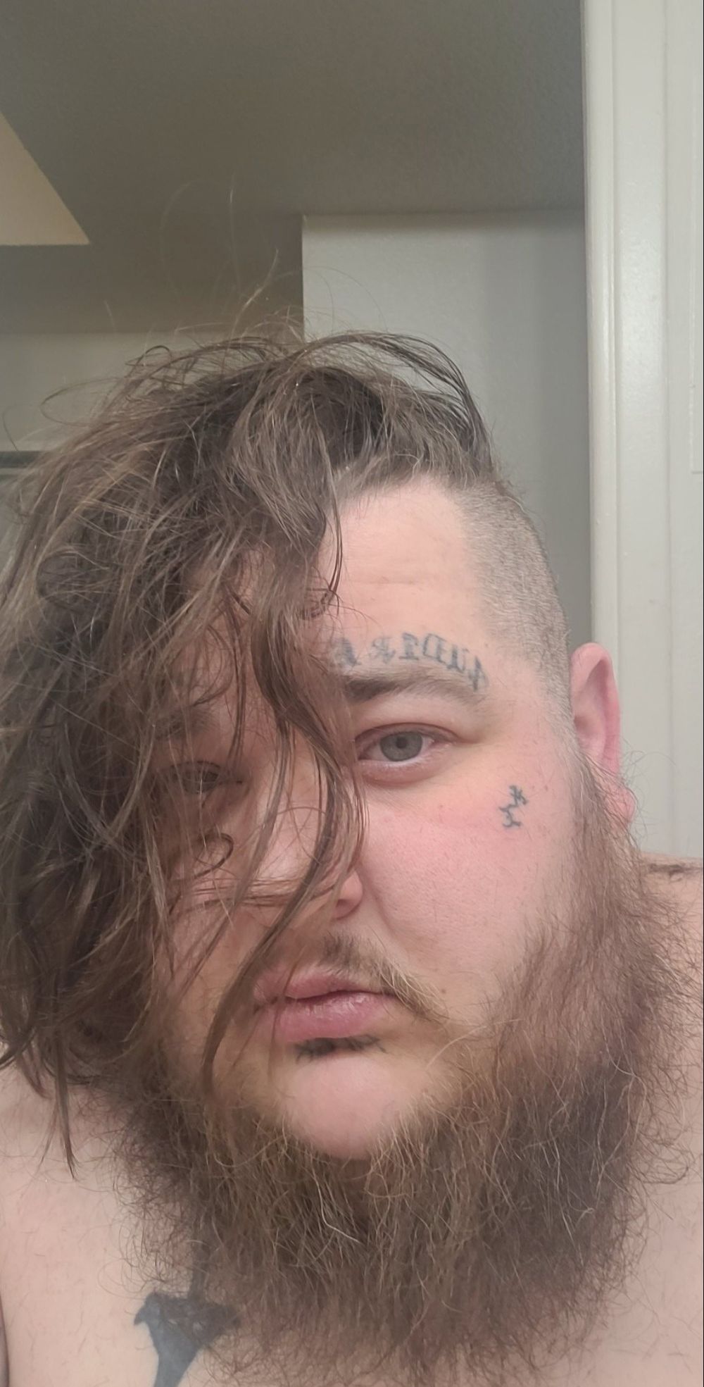 shadowclyx OnlyFans profile picture