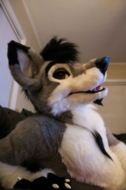 stallionwolf OnlyFans picture