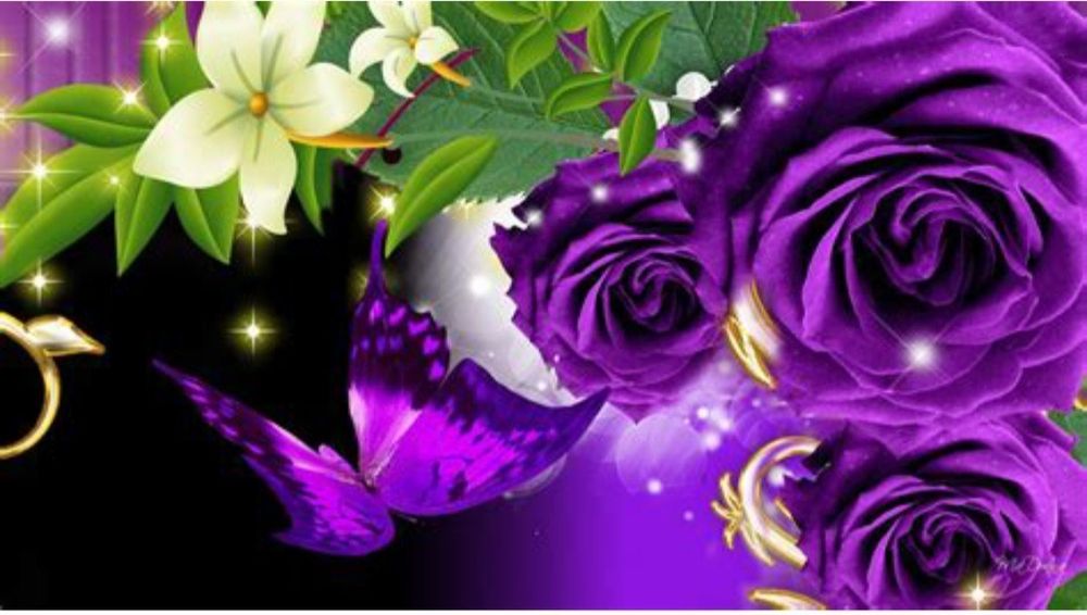 amethystrose903 OnlyFans profile picture