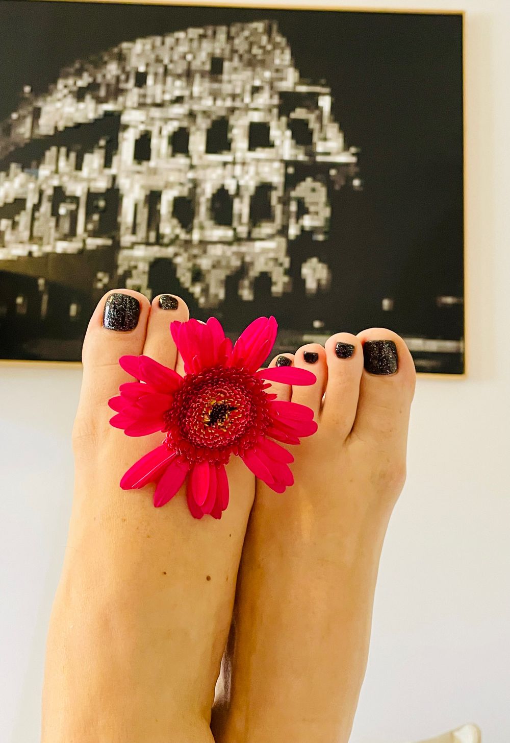 u227410464 OnlyFans profile picture