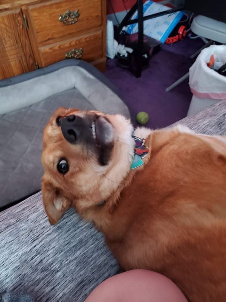 dogfeetdaily OnlyFans profile picture