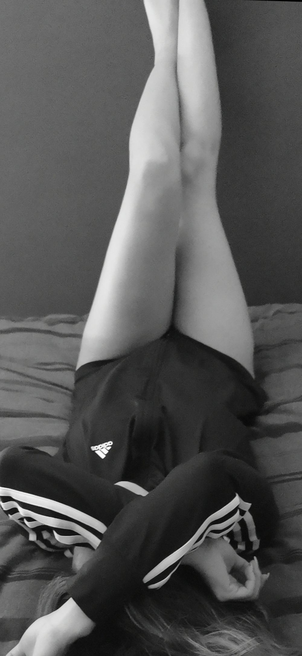 palmer1504 OnlyFans profile picture