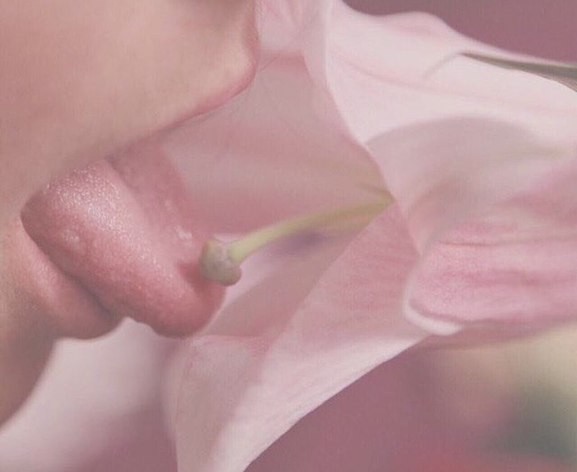lilglitch OnlyFans profile picture
