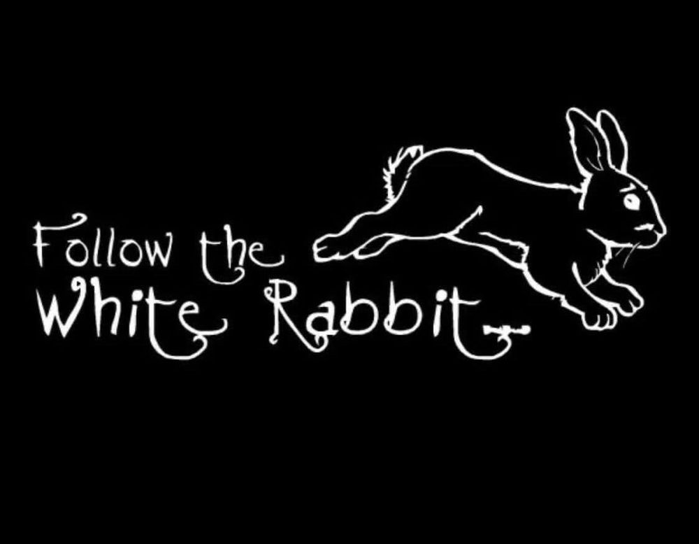 imthewhiterabbit OnlyFans profile picture