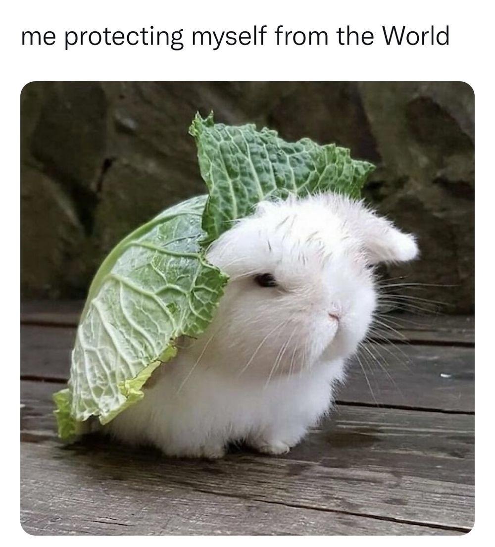 lil_bunniii OnlyFans profile picture