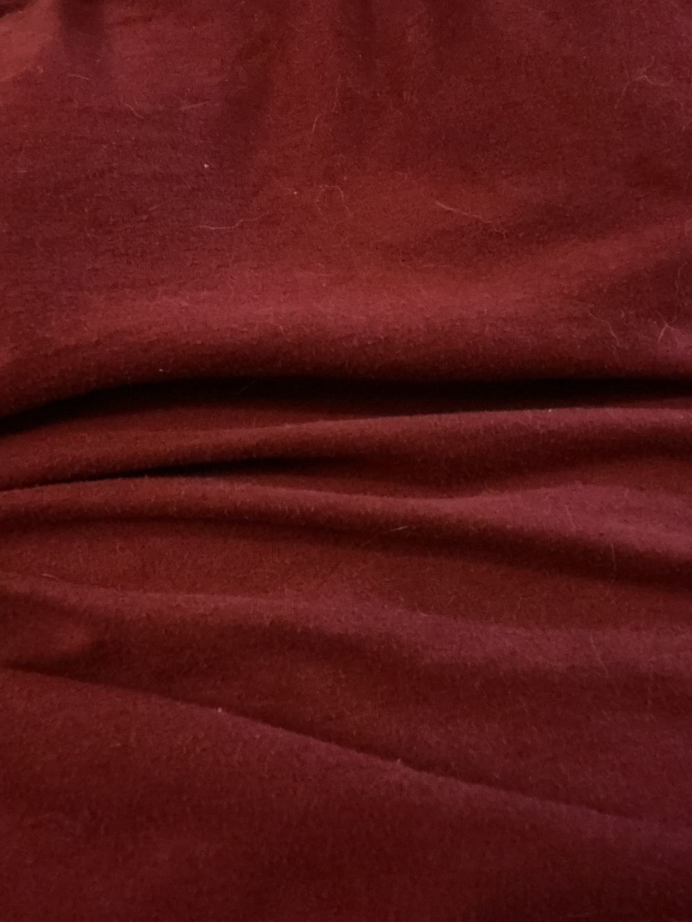 redlinelion13 OnlyFans profile picture