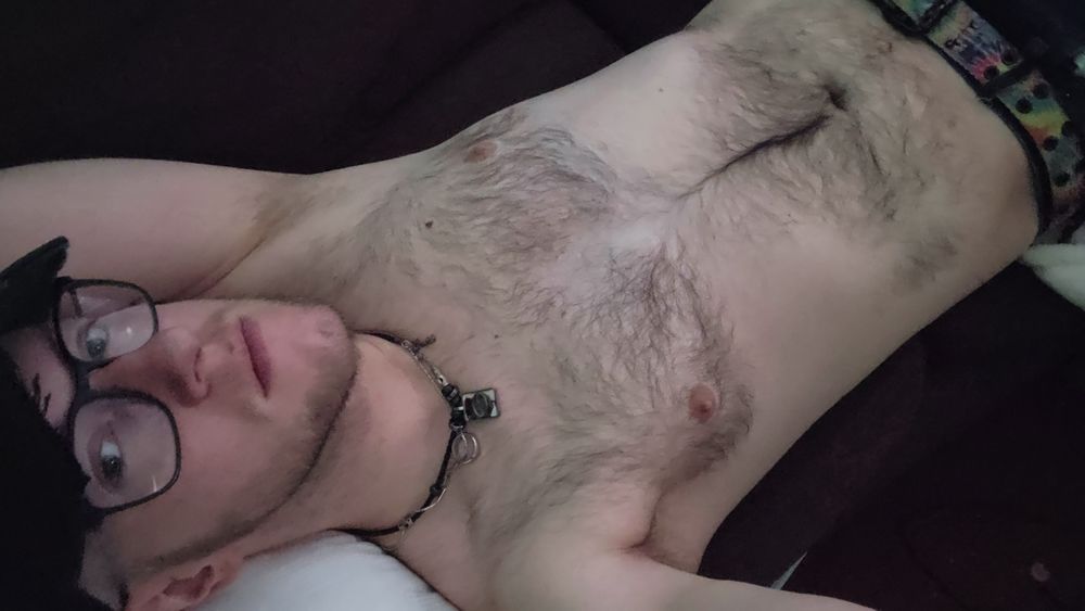 arch_pup OnlyFans profile picture