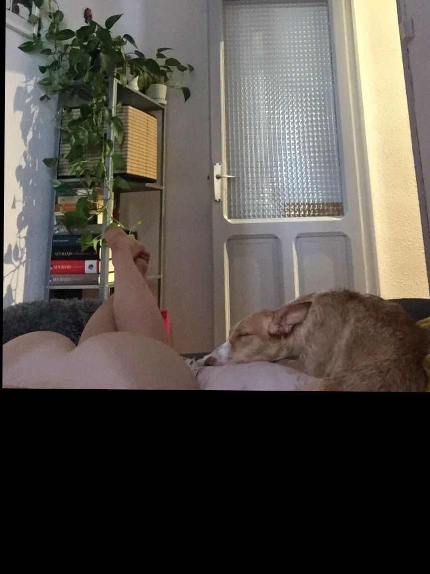 isadakimasu OnlyFans profile picture
