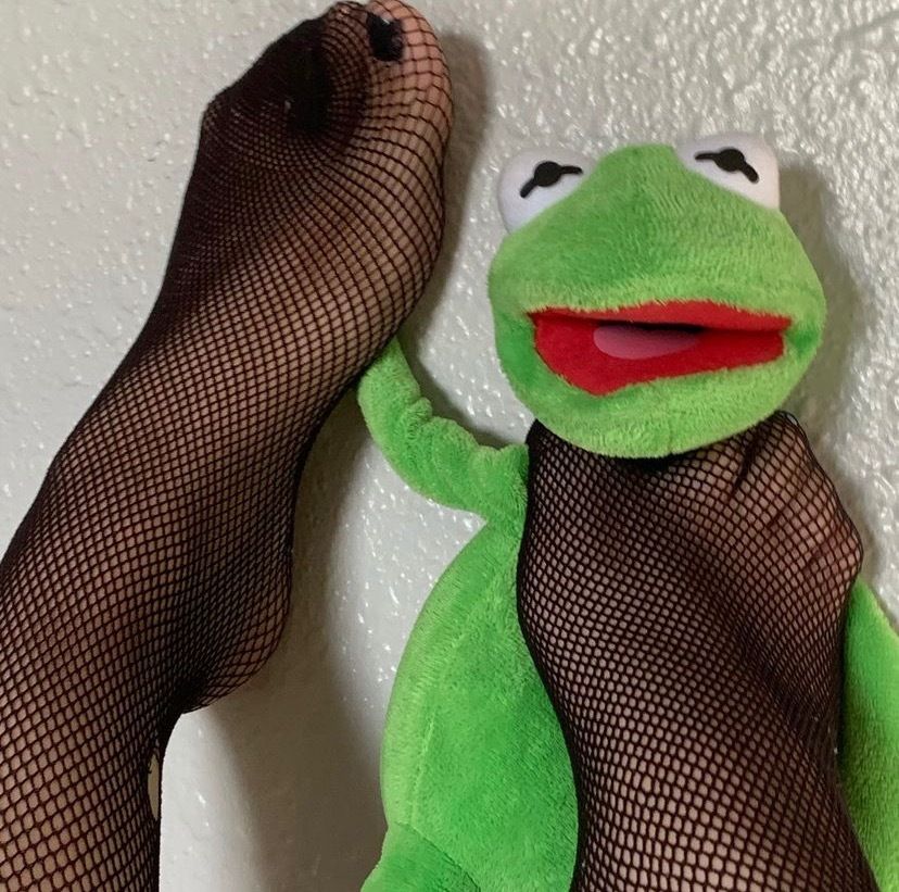 n3zzitant OnlyFans profile picture
