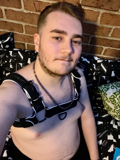 misterlilcub OnlyFans picture