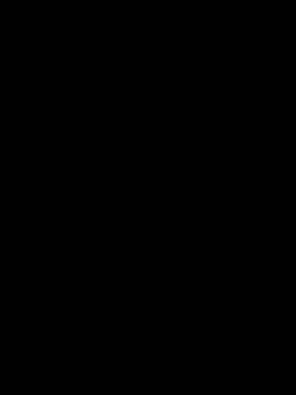 theboyslut OnlyFans profile picture