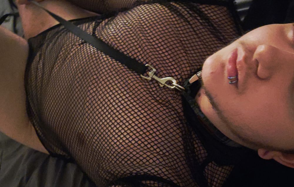 transboyem OnlyFans profile picture