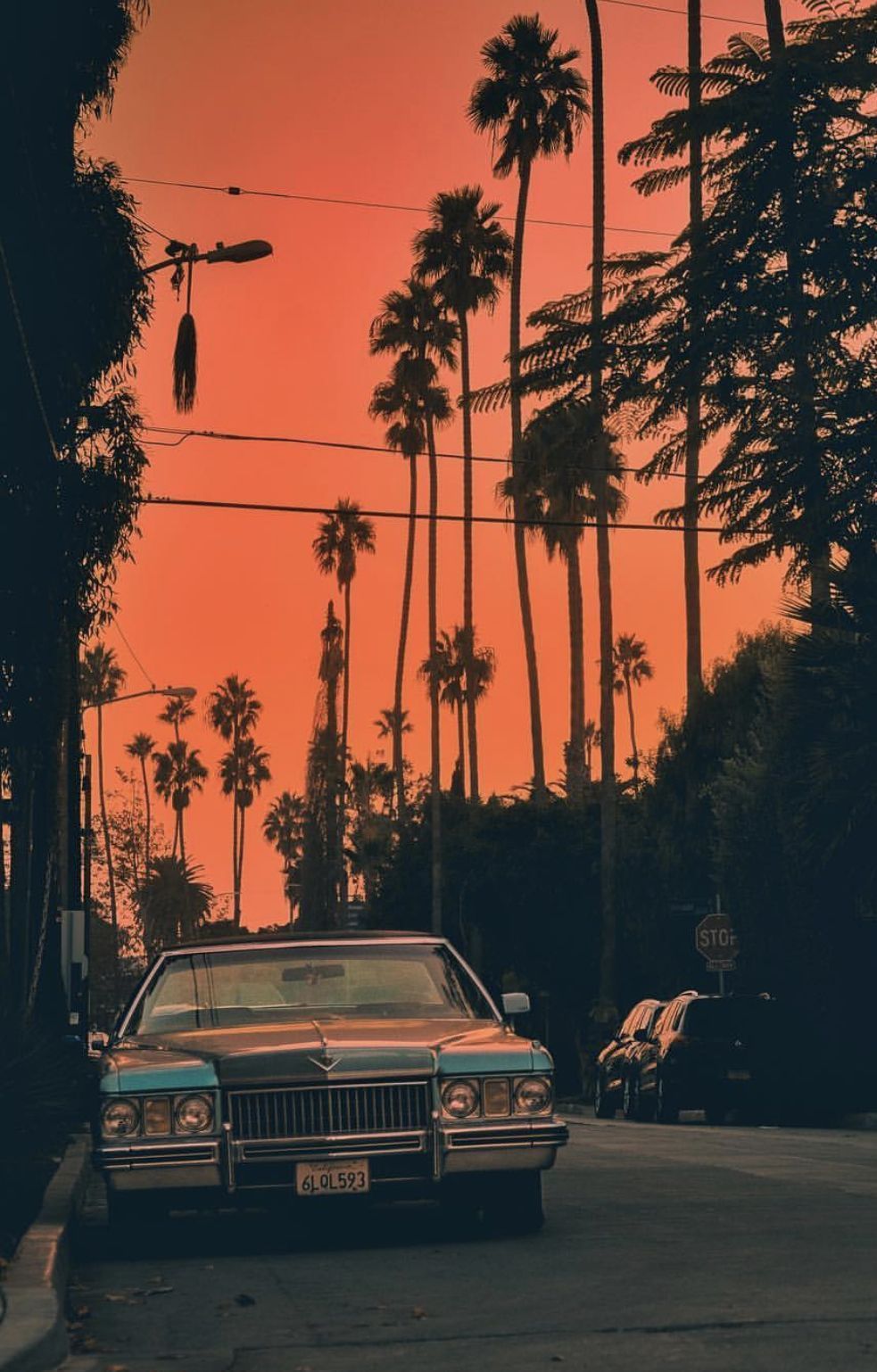 hippieebonies OnlyFans profile picture