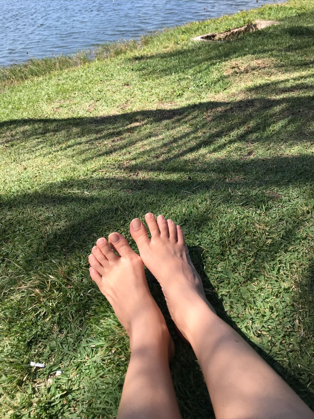 motagirl OnlyFans profile picture