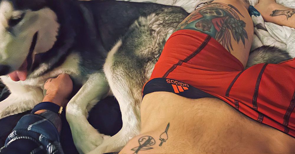 ricjames OnlyFans profile picture