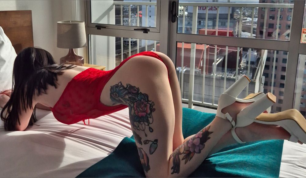 missmollymeadow OnlyFans profile picture