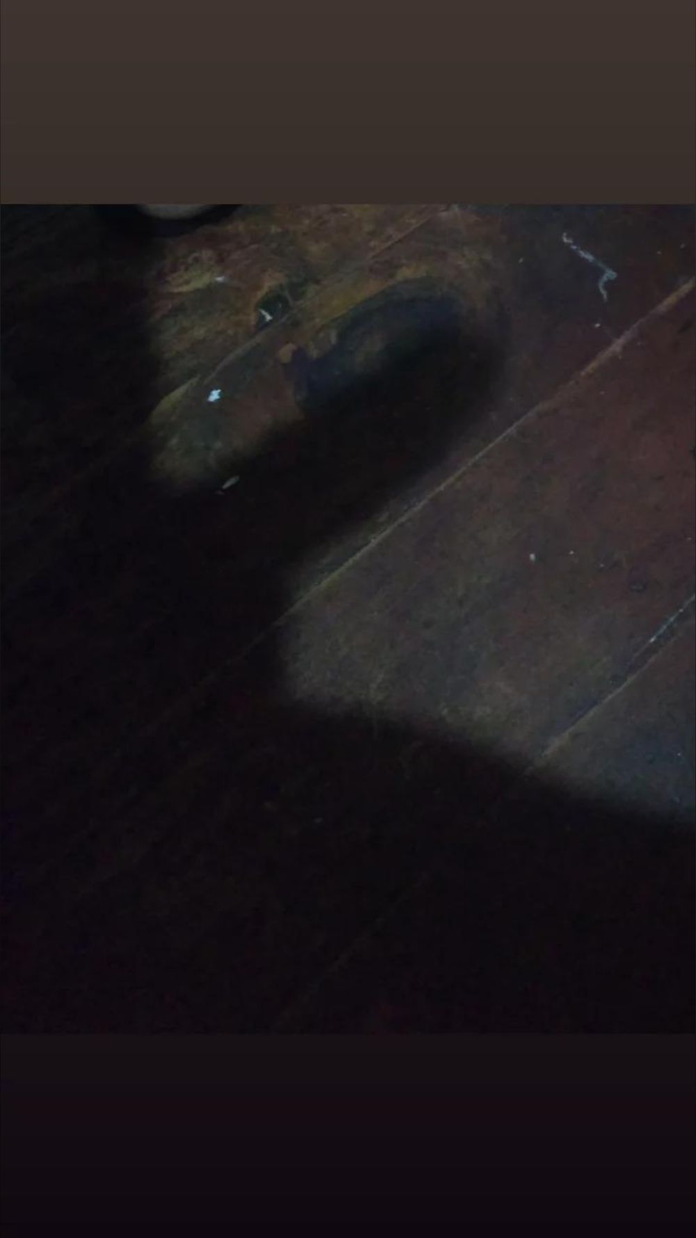 diaazleoo OnlyFans profile picture