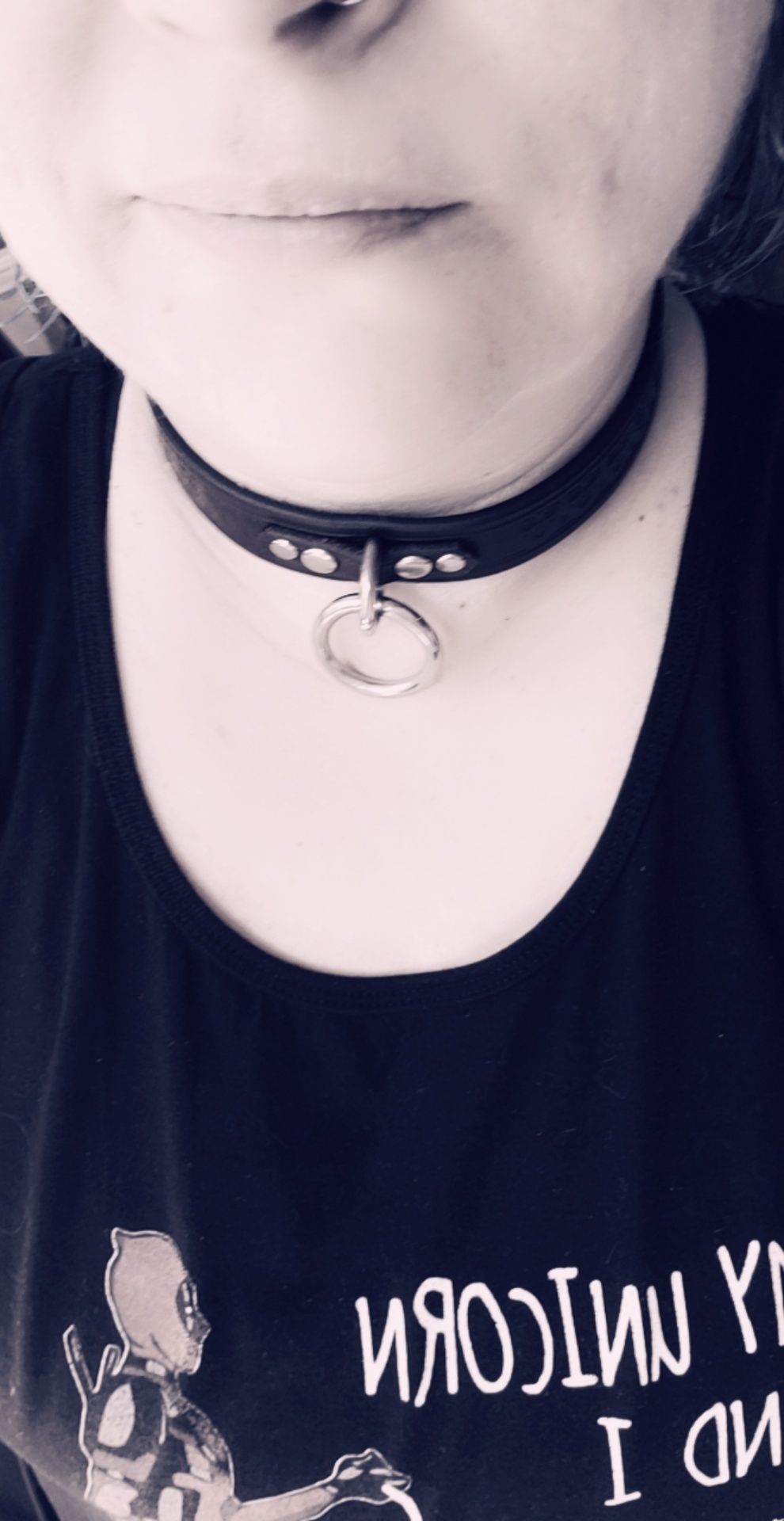 purrincesskitten OnlyFans profile picture