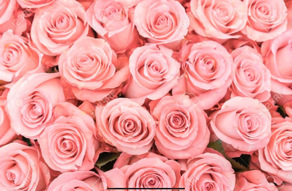 rosebudblossom OnlyFans profile picture
