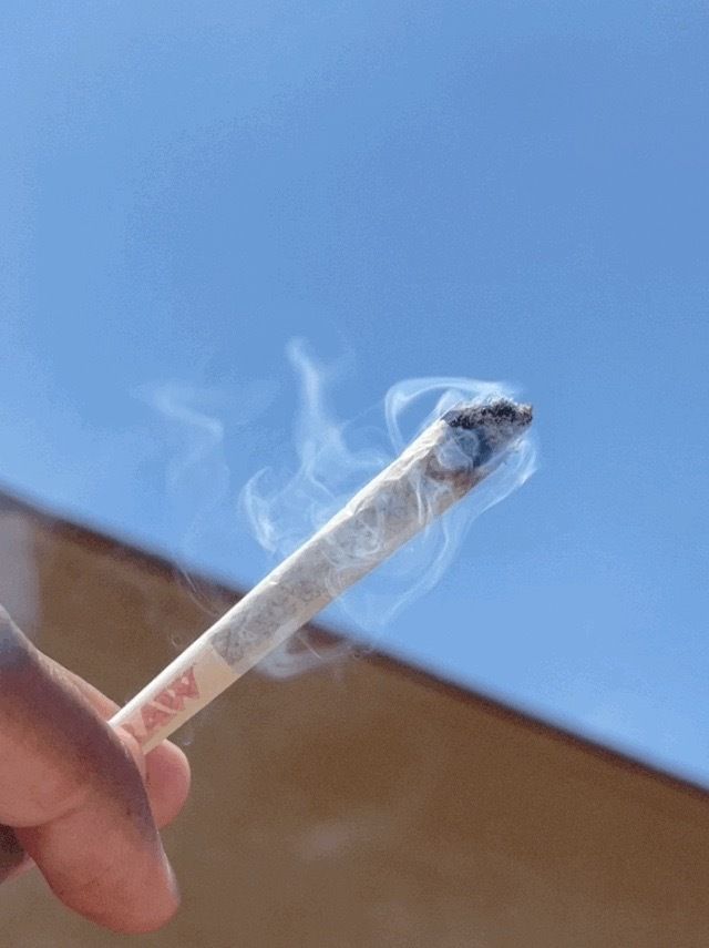 lowkeyisac OnlyFans profile picture