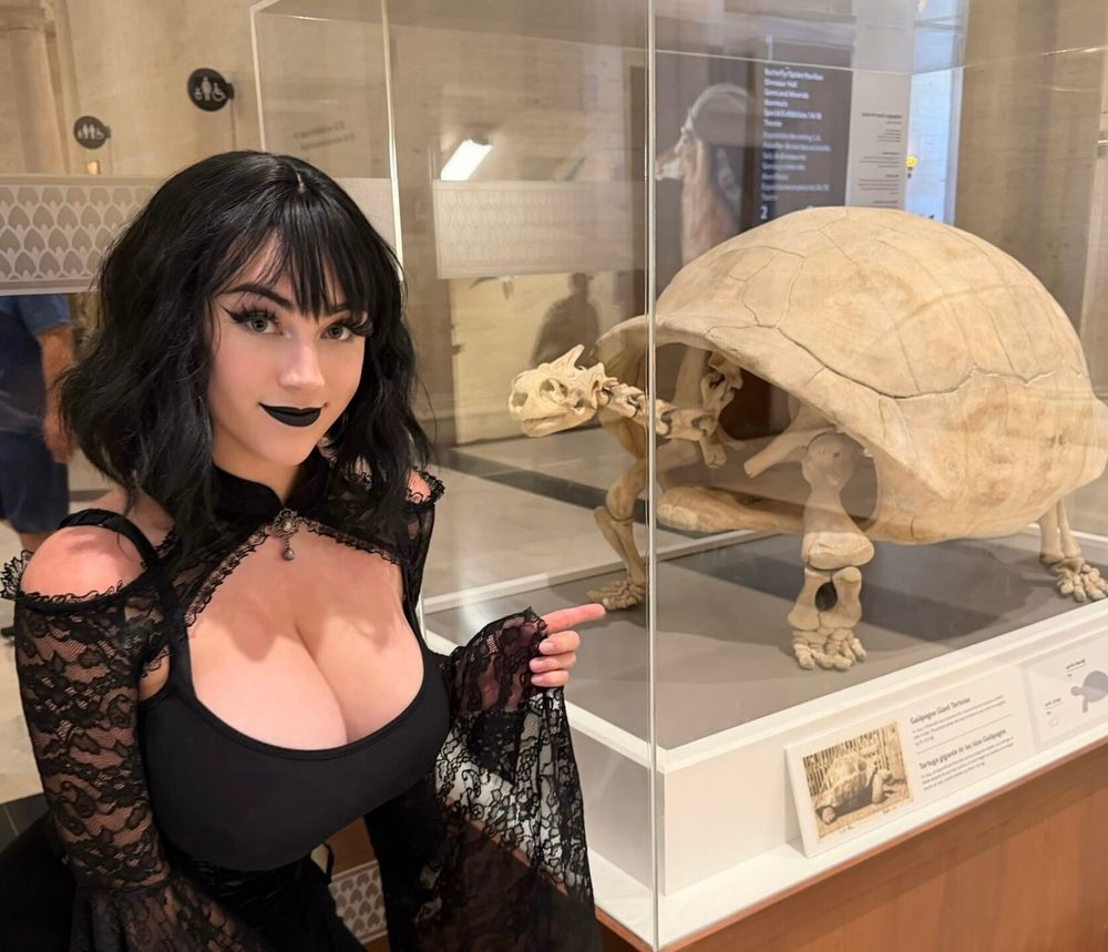 buttercupcosplays OnlyFans profile picture