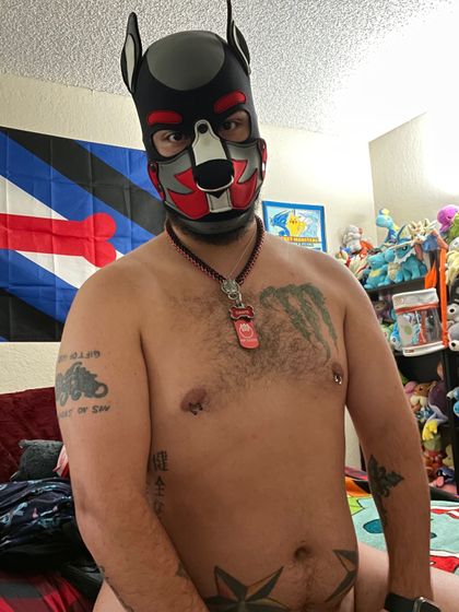 pup_dante3 OnlyFans picture