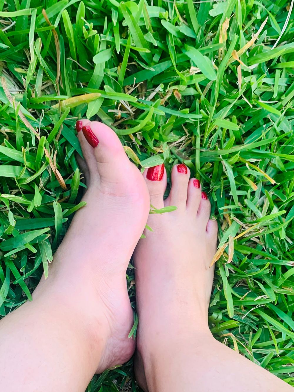 sofiafeet69 OnlyFans profile picture