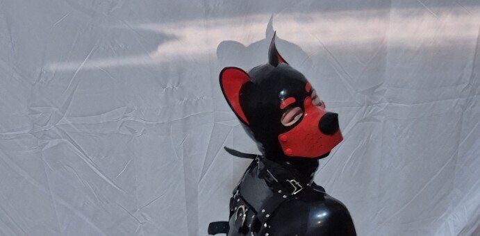 goodboymaxi OnlyFans profile picture