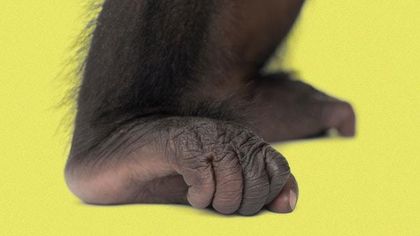 myfunfeet OnlyFans picture