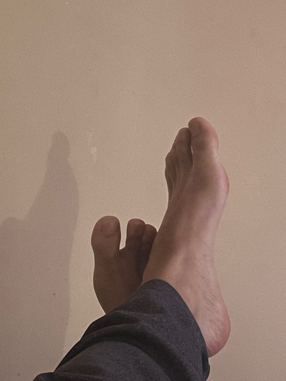 lukas_veer OnlyFans profile picture